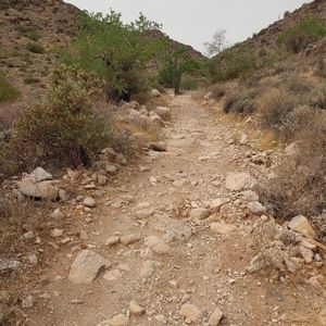 Meet your Posher, Colleen